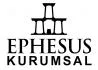 kurumsal.ephesusyayinlari.com