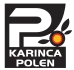 www.karincakitap.net