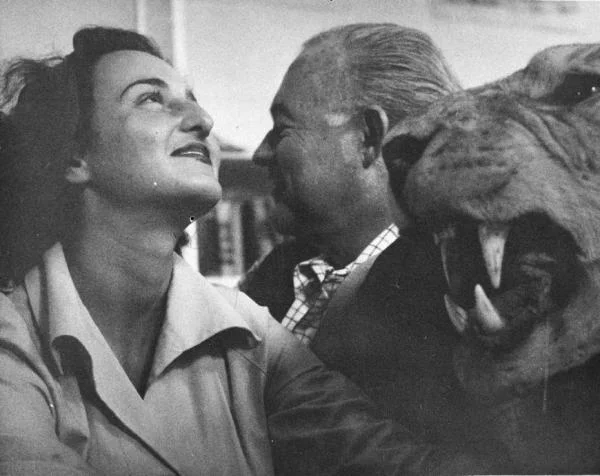 Yeni Bir Hemingway Romanı: Nehrin Ötesine,
Ağaçların İçine