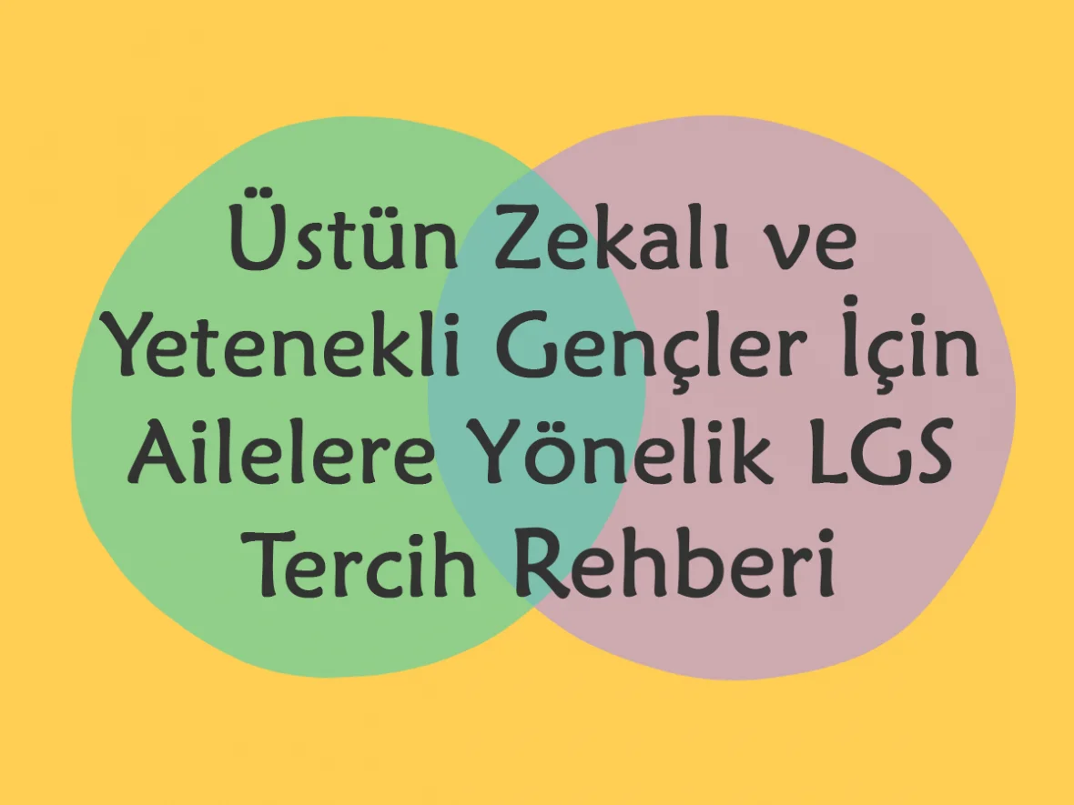 Üstün Zekalı ve Yetenekli Gençler İçin
Ailelere Yönelik LGS Tercih Klavuzu ve Rehberi