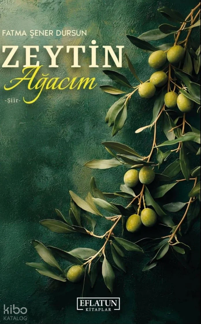 Zeytin Ağacım