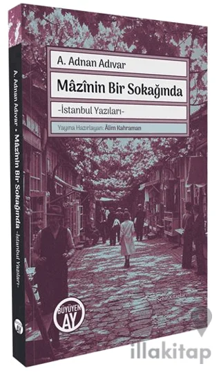 Mazînin Bir Sokağında