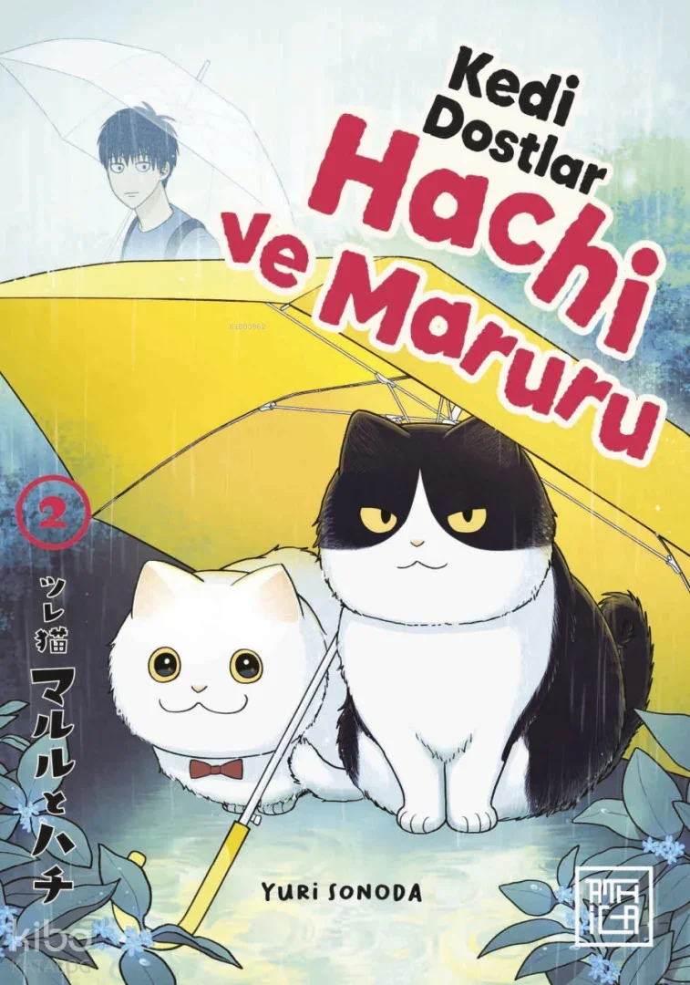 Kedi Dostları Hachi ve Maruru 2