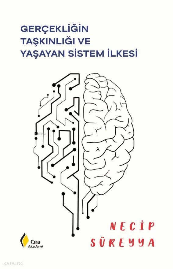 Gerçekliğin Taşkınlığı ve Yaşayan Sistem İlkesi