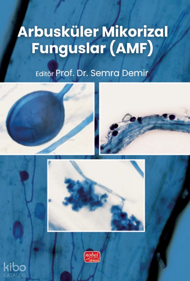 Arbusküler Mikorizal Funguslar (AMF)