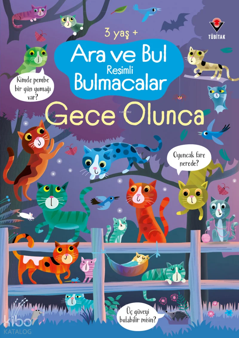 Ara ve Bul Resimli Bulmacalar - Gece Olunca