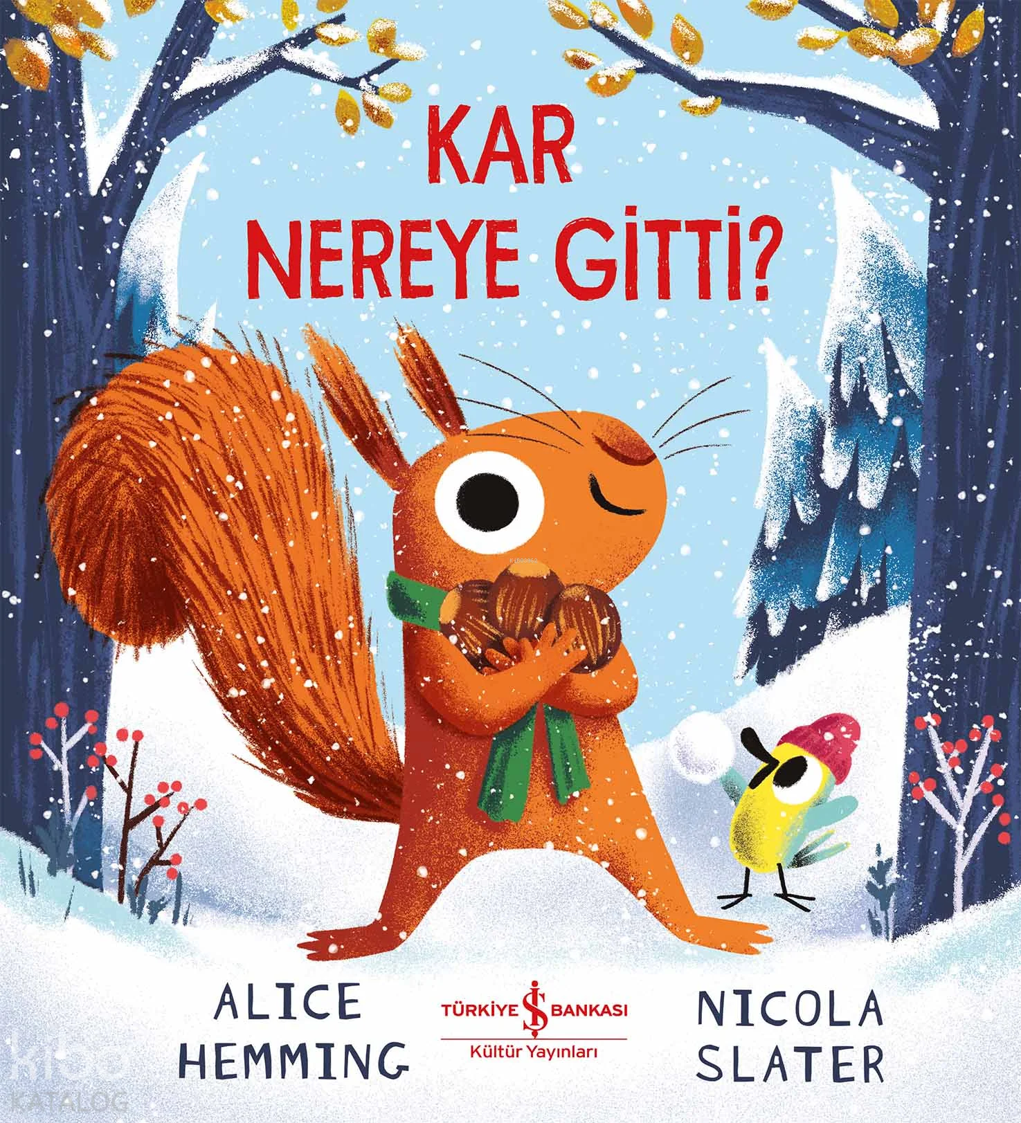 Kar Nereye Gitti?