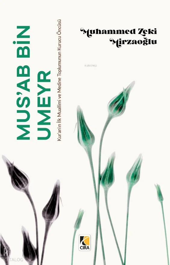 Mus'ab Bin Umeyr