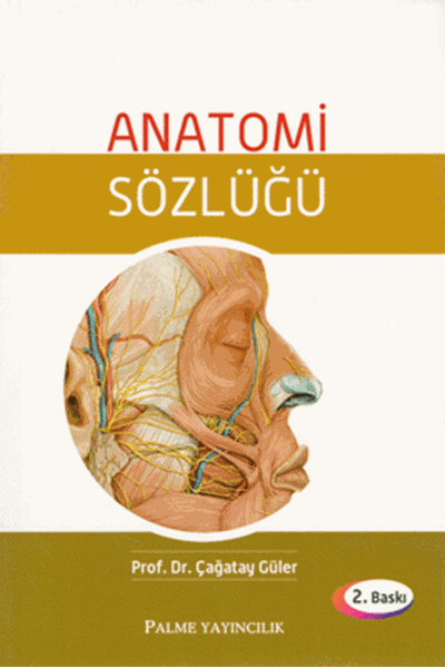 Anatomi Sözlüğü