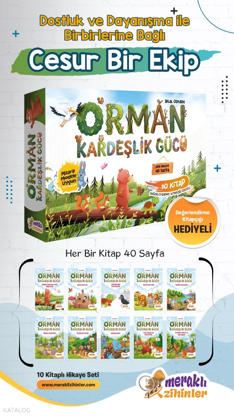 Meraklı Zihinler Orman Kardeşlik Gücü (10 Kitap)