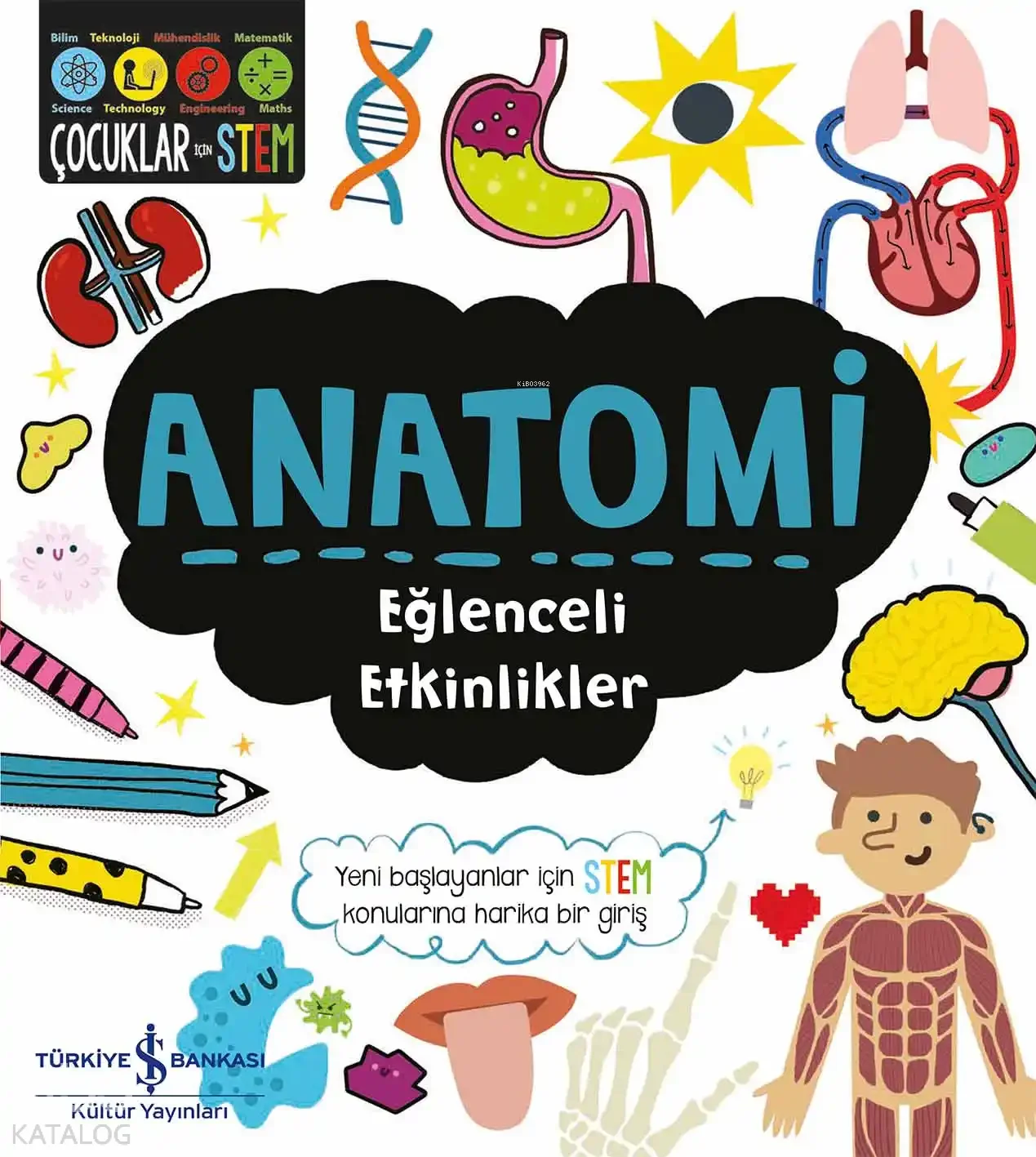 Anatomi - Eğlenceli Etkinlikler