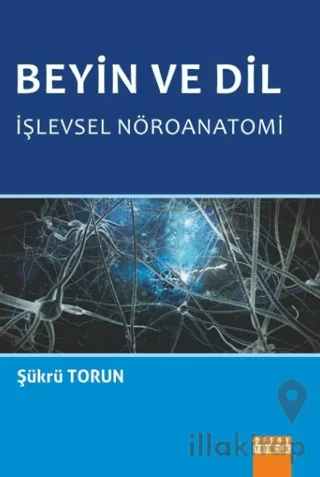 Beyin ve Dil İşlevsel Nöroanatomi