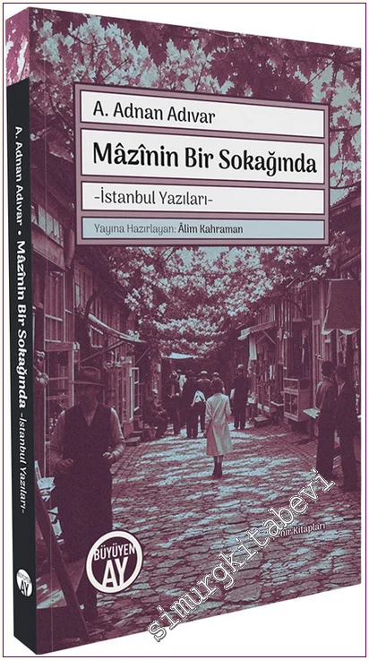 Mazînin Bir Sokağında -İstanbul Yazıları- -