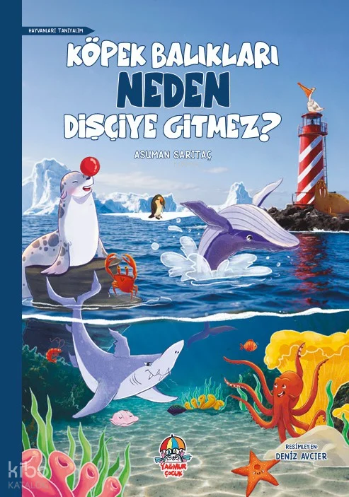 Köpek Balıkları Neden Dişçiye Gitmez?