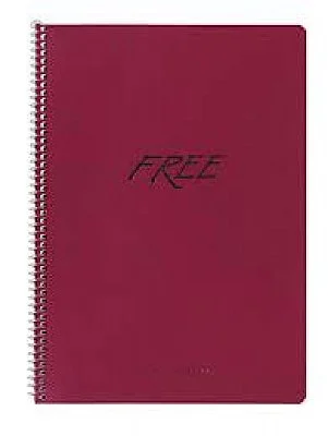 FREE PLATİNUM A4 100 YP SPR ÇİZGİLİ PP KAPAK DEFTER