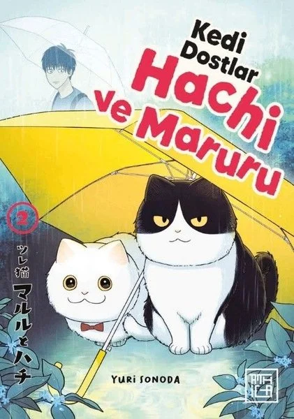 Kedi Dostlar Hachi ve Maruru 2