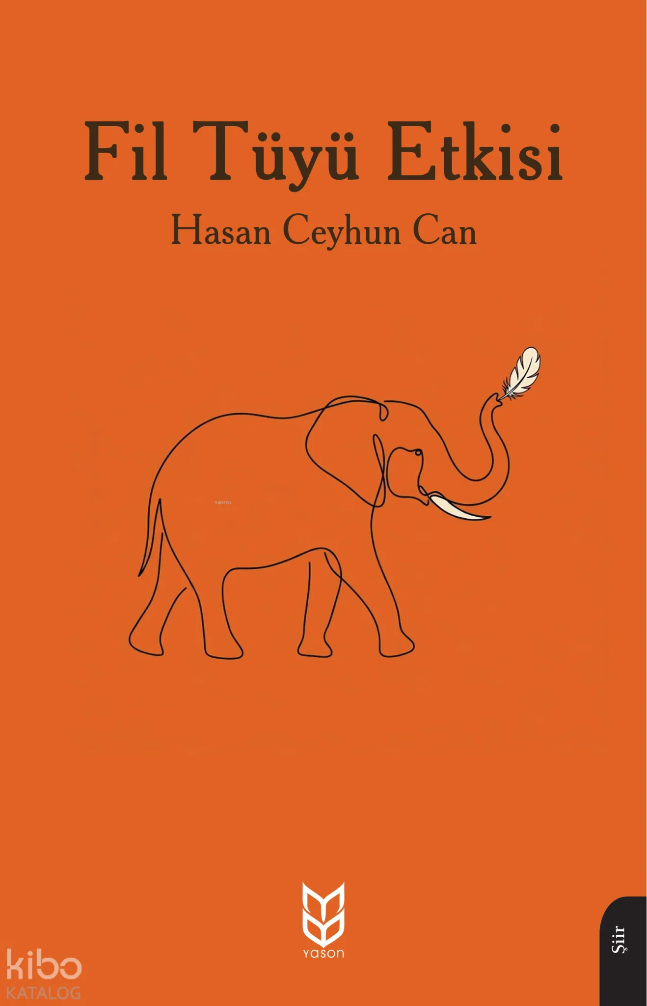Fil Tüyü Etkisi