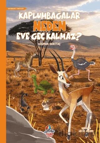 Kaplumbağalar Neden Eve Geç Kalmaz?