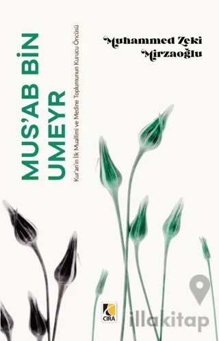 Mus'ab Bin Umeyr