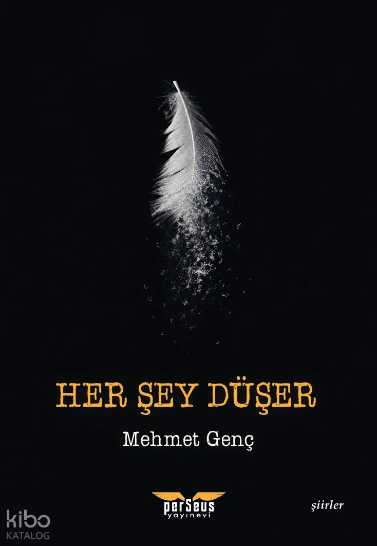 Her Şey Düşer