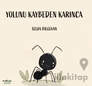 Yolunu Kaybeden Karınca