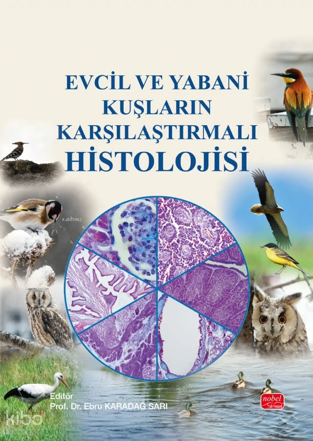 Evcil ve Yabani Kuşların Karşılaştırmalı Histolojisi