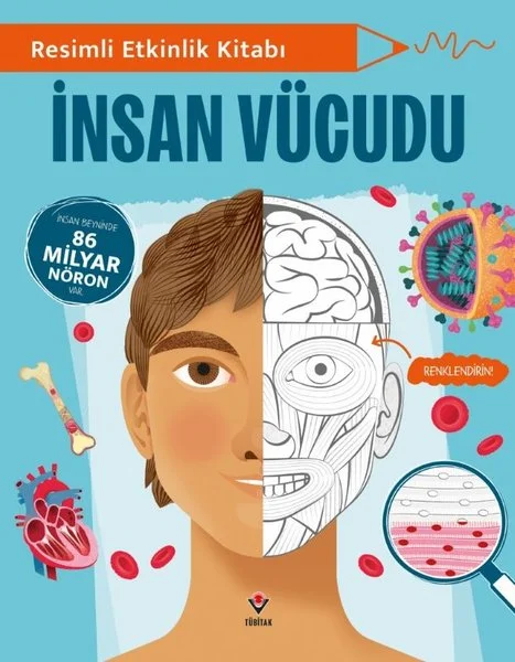 Resimli Etkinlik Kitabı - İnsan Vücudu