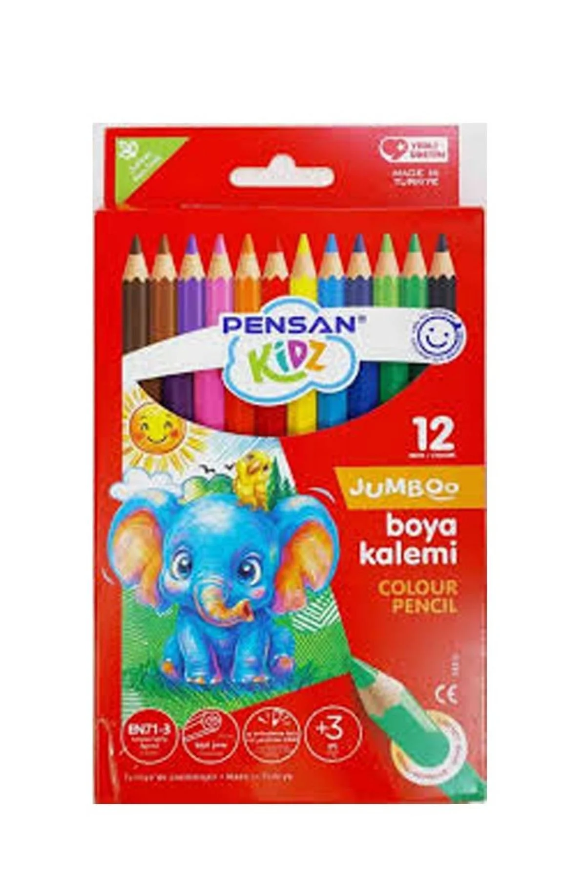 PENSAN KIDZ JUMBO 12 RENK KURU BOYA KALEMİ