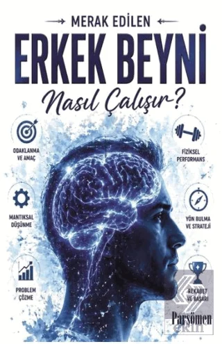 Erkek Beyni Nasıl Çalışır?