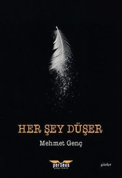 Her Şey Düşer