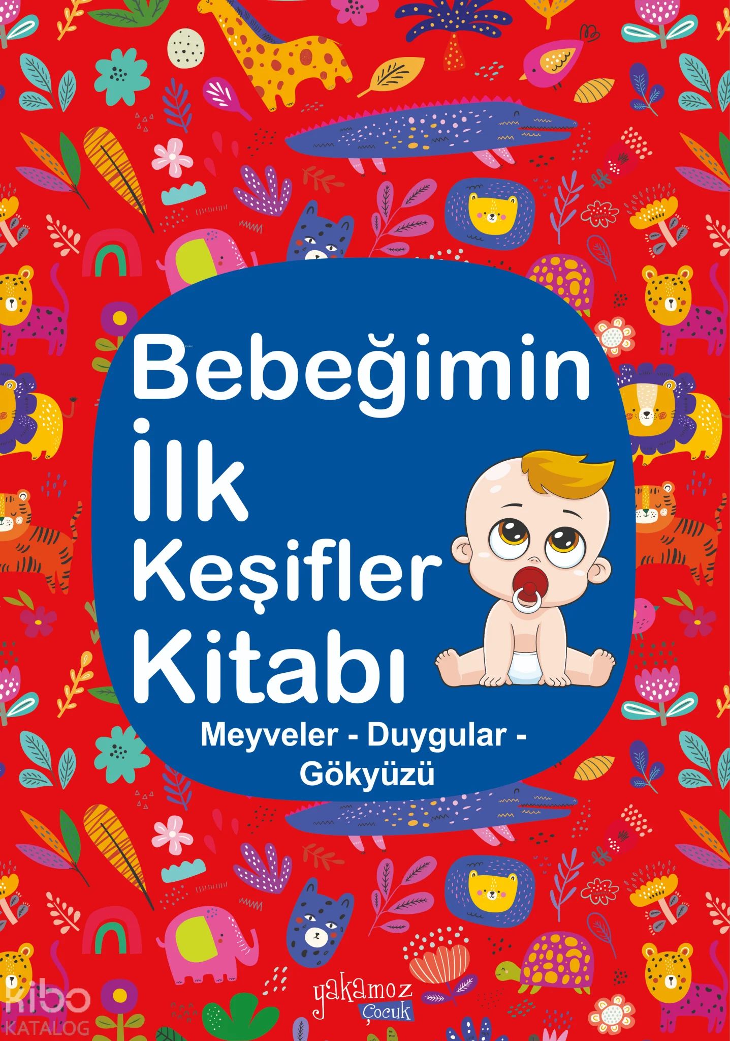 Bebeğimin İlk Keşifler Kitabı (Ciltli);Meyveler – Duygular - Gökyüzü