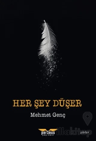 Her Şey Düşer