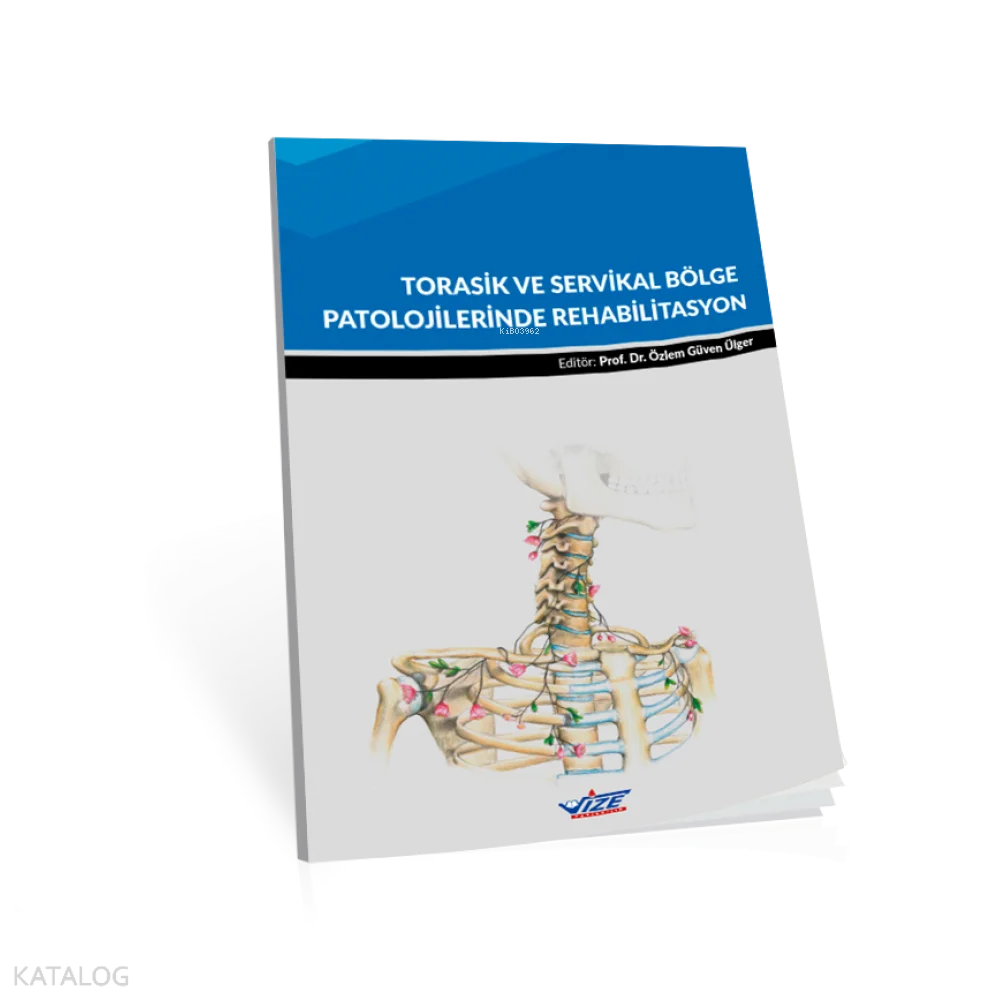 Torasik Ve Servikal Bölge Patolojilerinde Rehabilitasyon