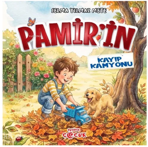Pamir'in Kayıp Kamyonu