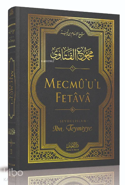 Mecmû'u'l-Fetâvâ (6. cilt)