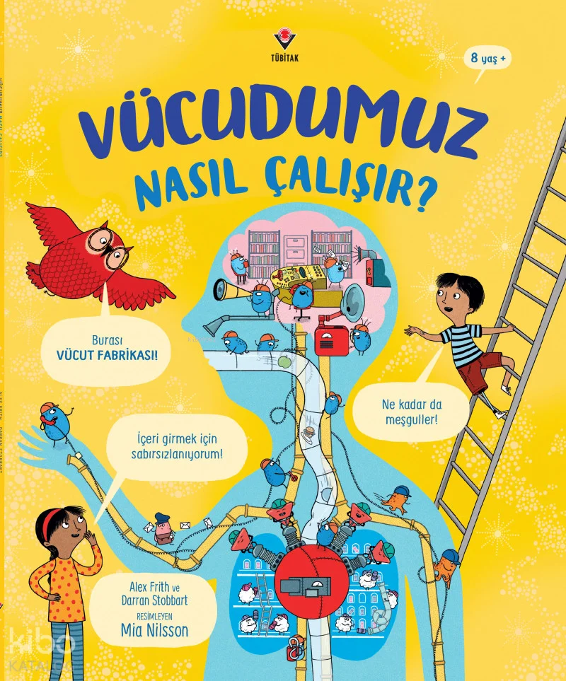 Vücudumuz Nasıl Çalışır?