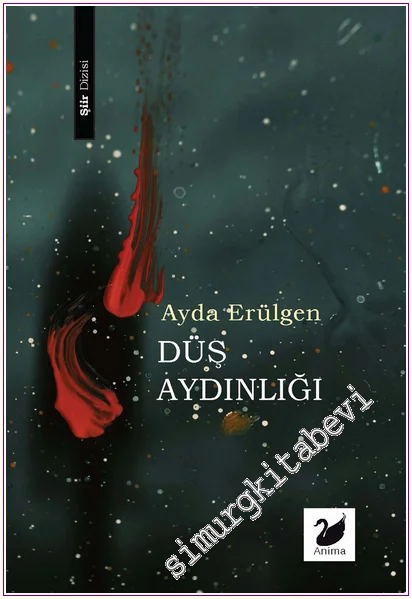 Düş Aydınlığı -