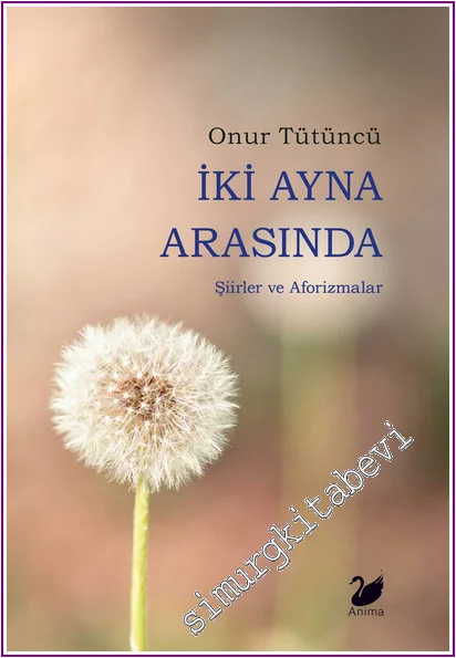 İki Ayna Arasında -