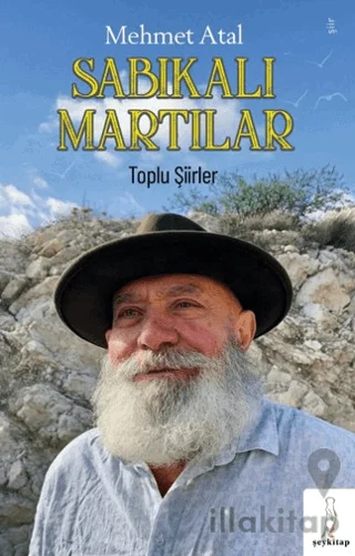 Sabıkalı Martılar