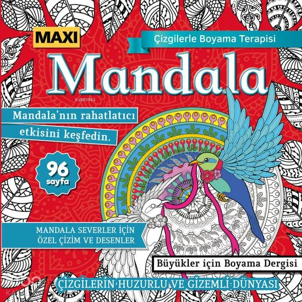 Maxi Mandala Çizgilerle Boyama Terapisi 12