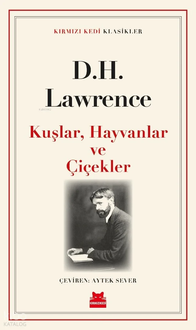 Kuşlar, Hayvanlar, Çiçekler