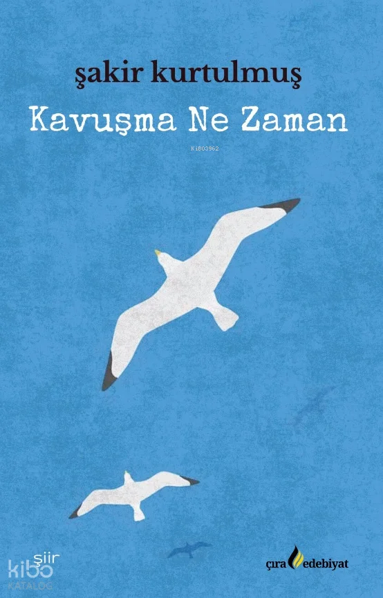 Kavuşma Ne Zaman