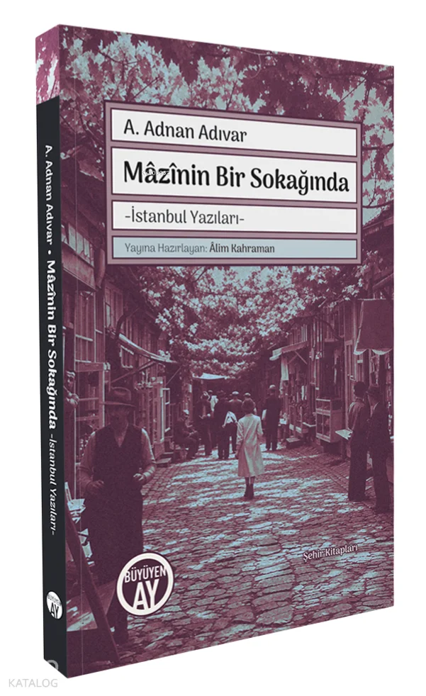 Mâzînin Bir Sokağında;İstanbul Yazıları