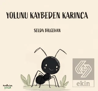 Yolunu Kaybeden Karınca