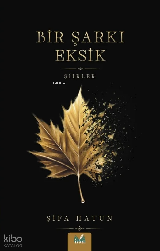 Bir Şarkı Eksik