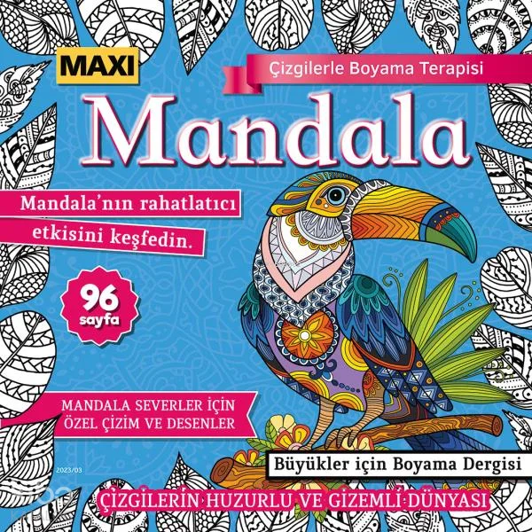 Maxi Mandala Çizgilerle Boyama Terapisi 11