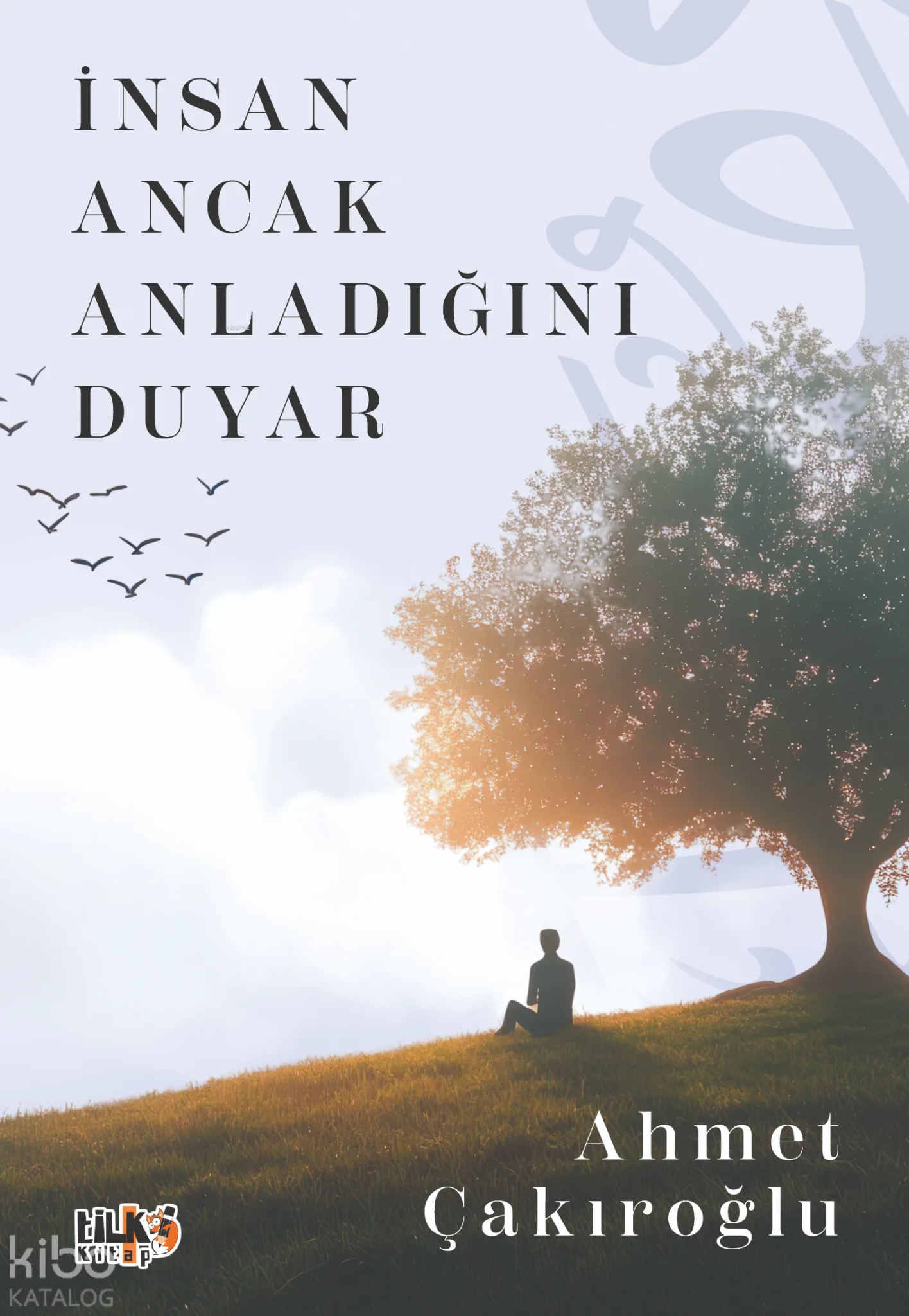 İnsan Ancak Anladığını Duyar