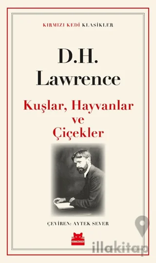 Kuşlar, Hayvanlar, Çiçekler