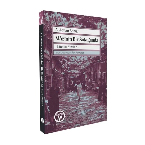 Mazinin Bir Sokağında - İstanbul Yazıları