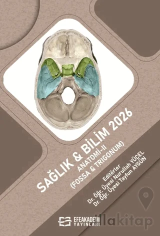 Sağlık & Bilim 2026:Anatomi-II (Fossa & Trigonum)